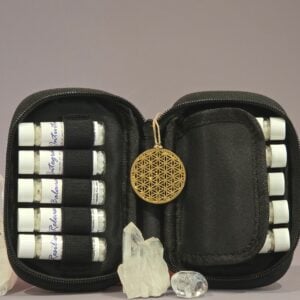 Ascension Survival Kit (ASK) - 10 Vibrational Essences
