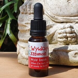 Wyld Inside